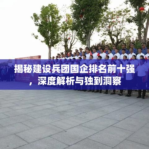 揭秘建設兵團國企排名前十強，深度解析與獨到洞察