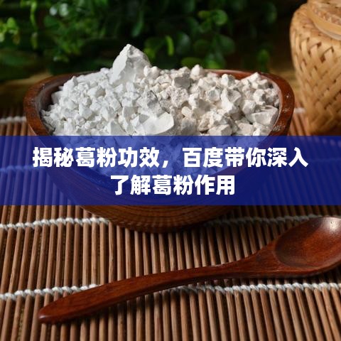 揭秘葛粉功效，百度帶你深入了解葛粉作用