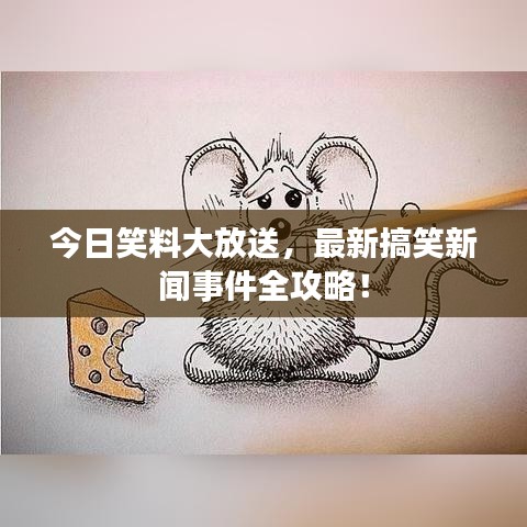 今日笑料大放送，最新搞笑新聞事件全攻略！