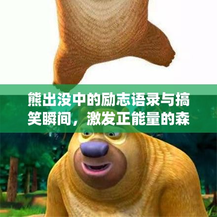 熊出沒中的勵志語錄與搞笑瞬間，激發(fā)正能量的森林冒險之旅！