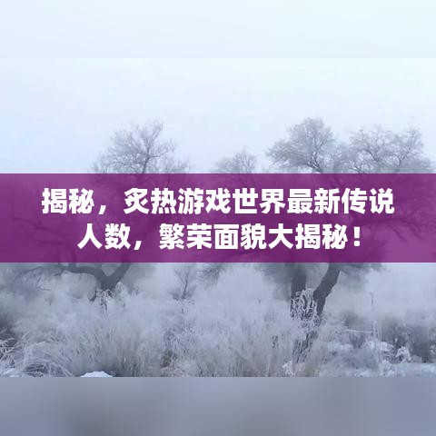 揭秘，炙熱游戲世界最新傳說人數(shù)，繁榮面貌大揭秘！
