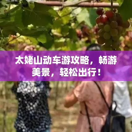 太姥山動(dòng)車游攻略，暢游美景，輕松出行！