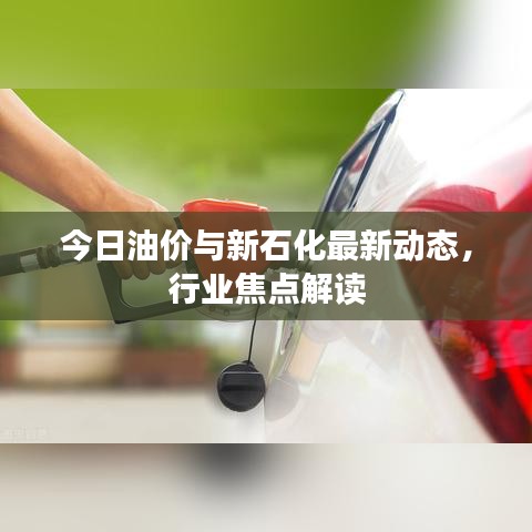 今日油價與新石化最新動態(tài)，行業(yè)焦點解讀