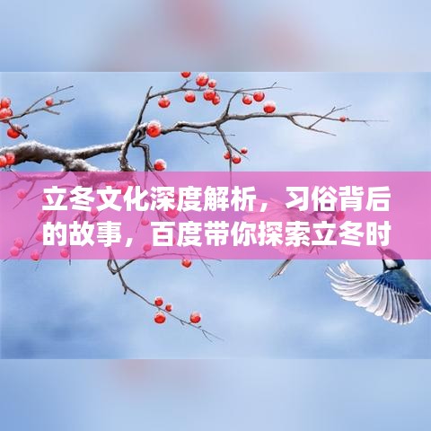 立冬文化深度解析，習(xí)俗背后的故事，百度帶你探索立冬時節(jié)的知識之旅