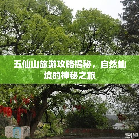 五仙山旅游攻略揭秘，自然仙境的神秘之旅