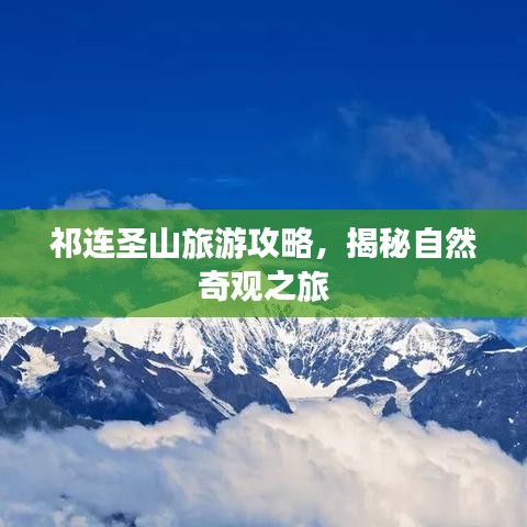 2025年6月2日 第29頁