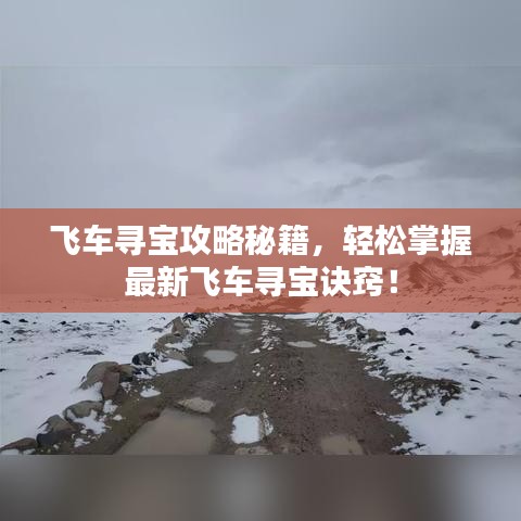 飛車尋寶攻略秘籍，輕松掌握最新飛車尋寶訣竅！