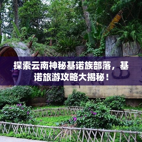 探索云南神秘基諾族部落，基諾旅游攻略大揭秘！