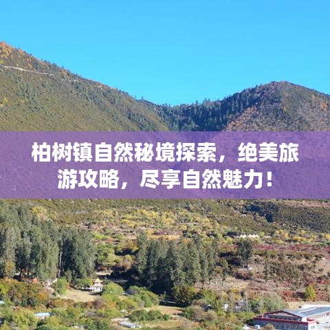 柏樹鎮(zhèn)自然秘境探索，絕美旅游攻略，盡享自然魅力！
