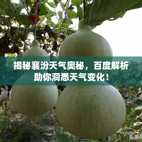 揭秘襄汾天氣奧秘，百度解析助你洞悉天氣變化！