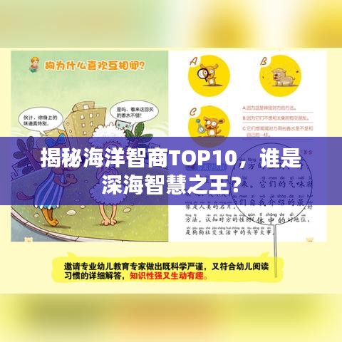 揭秘海洋智商TOP10，誰是深海智慧之王？