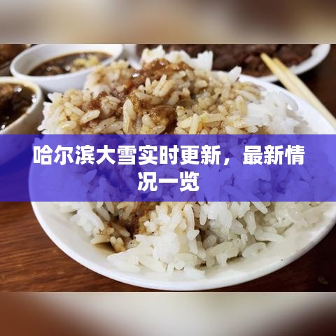 哈爾濱大雪實時更新，最新情況一覽