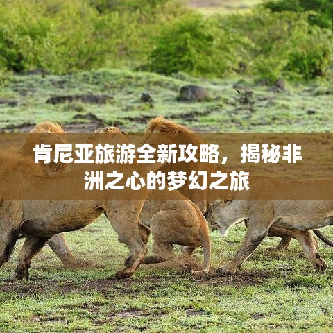 肯尼亞旅游全新攻略，揭秘非洲之心的夢(mèng)幻之旅