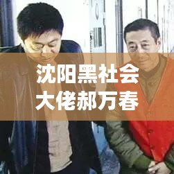 沈陽黑社會(huì)大佬郝萬春案件最新進(jìn)展曝光
