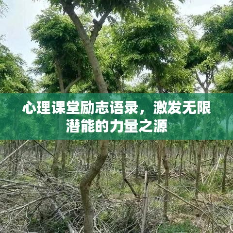 心理課堂勵(lì)志語(yǔ)錄，激發(fā)無(wú)限潛能的力量之源