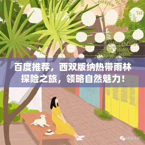 百度推薦，西雙版納熱帶雨林探險之旅，領(lǐng)略自然魅力！