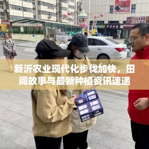 新沂農業(yè)現(xiàn)代化步伐加快，田間故事與最新種植資訊速遞
