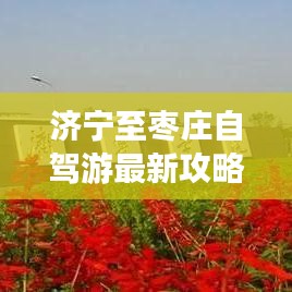 濟寧至棗莊自駕游最新攻略路線指南