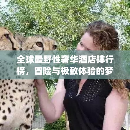 全球最野性奢華酒店排行榜，冒險與極致體驗的夢幻之旅