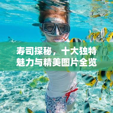 壽司探秘，十大獨(dú)特魅力與精美圖片全覽