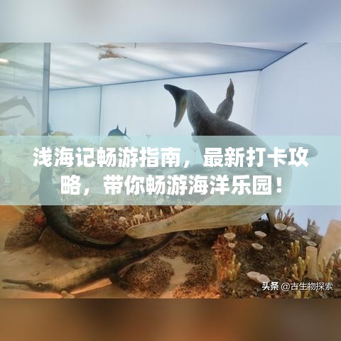 淺海記暢游指南，最新打卡攻略，帶你暢游海洋樂(lè)園！