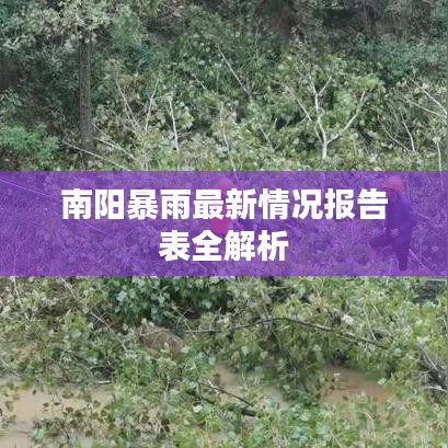 南陽暴雨最新情況報(bào)告表全解析
