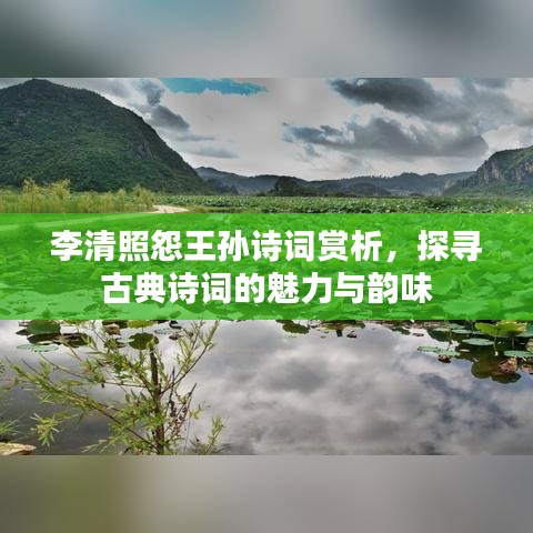 李清照怨王孫詩詞賞析，探尋古典詩詞的魅力與韻味