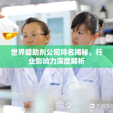 世界蠟助劑公司排名揭秘，行業(yè)影響力深度解析