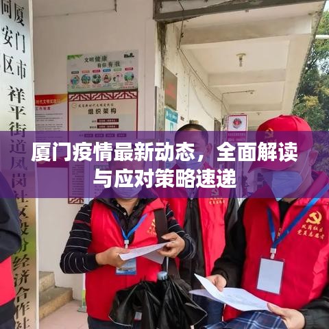 廈門疫情最新動態(tài)，全面解讀與應對策略速遞