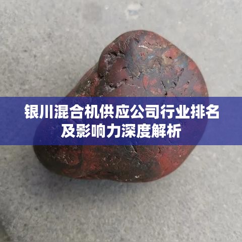 銀川混合機供應(yīng)公司行業(yè)排名及影響力深度解析