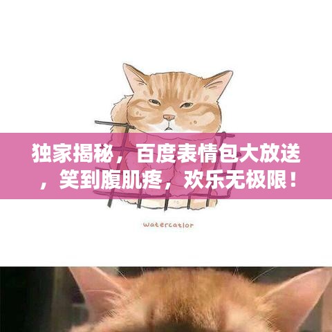 獨家揭秘，百度表情包大放送，笑到腹肌疼，歡樂無極限！
