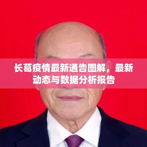 長葛疫情最新通告圖解，最新動態(tài)與數(shù)據(jù)分析報告
