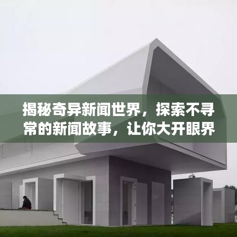 揭秘奇異新聞世界，探索不尋常的新聞故事，讓你大開眼界！
