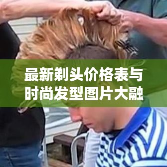 最新剃頭價(jià)格表與時(shí)尚發(fā)型圖片大融合，打造個(gè)性魅力發(fā)型！
