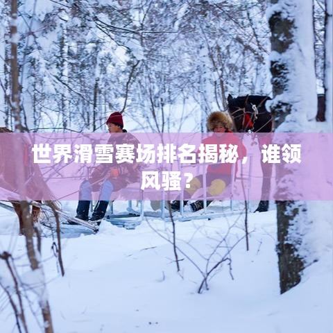 世界滑雪賽場排名揭秘，誰領(lǐng)風(fēng)騷？