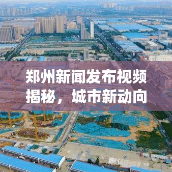 鄭州新聞發(fā)布視頻揭秘，城市新動(dòng)向深度解讀