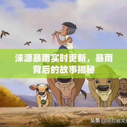 淶源暴雨實(shí)時(shí)更新，暴雨背后的故事揭秘