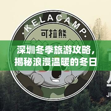 深圳冬季旅游攻略，揭秘浪漫溫暖的冬日探險(xiǎn)之旅