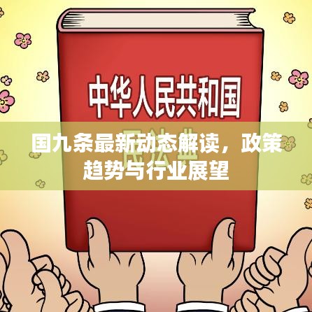 國九條最新動態(tài)解讀，政策趨勢與行業(yè)展望