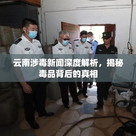 云南涉毒新聞深度解析，揭秘毒品背后的真相