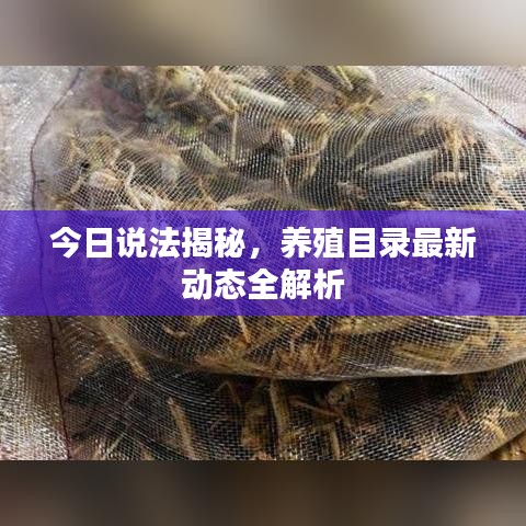 今日說法揭秘，養(yǎng)殖目錄最新動態(tài)全解析
