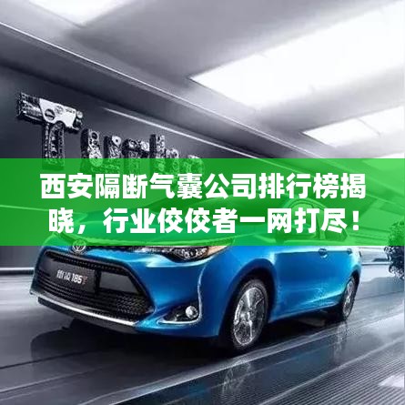西安隔斷氣囊公司排行榜揭曉，行業(yè)佼佼者一網(wǎng)打盡！