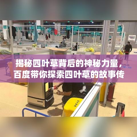 揭秘四葉草背后的神秘力量，百度帶你探索四葉草的故事傳奇