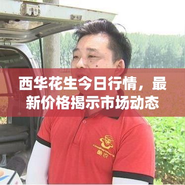 西華花生今日行情，最新價(jià)格揭示市場動(dòng)態(tài)，洞悉行業(yè)趨勢！