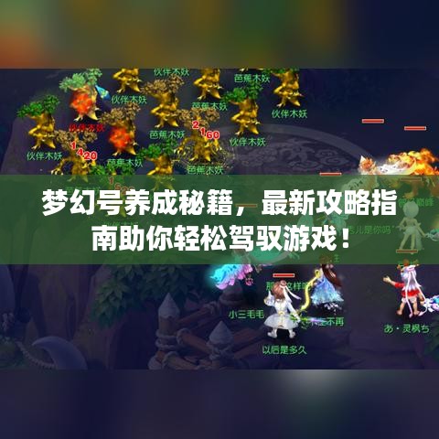 夢幻號養(yǎng)成秘籍，最新攻略指南助你輕松駕馭游戲！