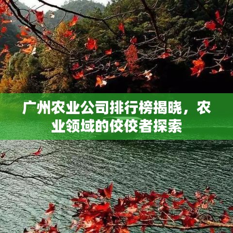 廣州農(nóng)業(yè)公司排行榜揭曉，農(nóng)業(yè)領(lǐng)域的佼佼者探索