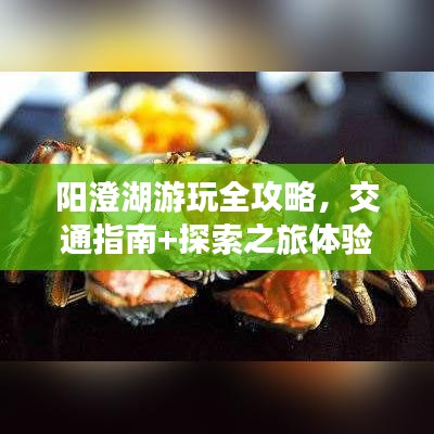 陽澄湖游玩全攻略，交通指南+探索之旅體驗分享