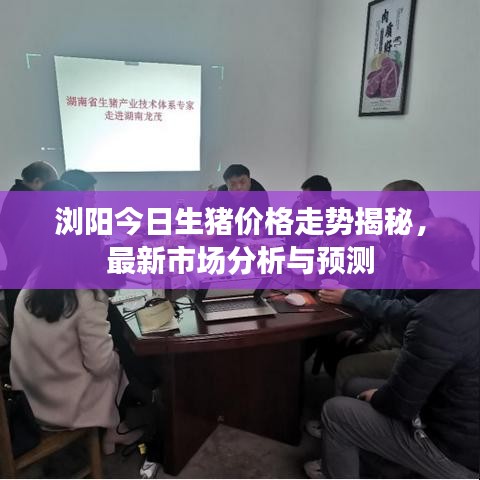 瀏陽今日生豬價(jià)格走勢揭秘，最新市場分析與預(yù)測