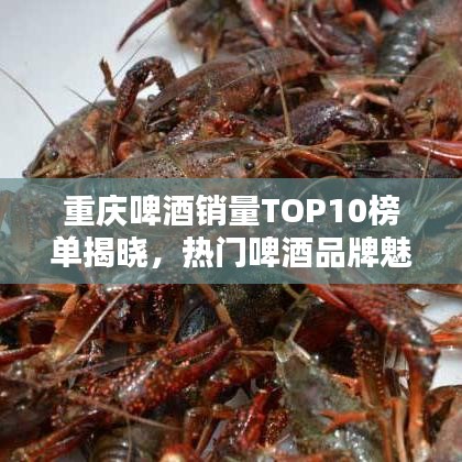 2025年6月5日 第31頁