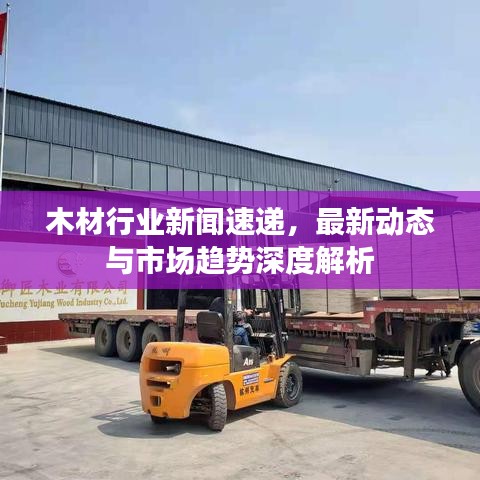 木材行業(yè)新聞速遞，最新動(dòng)態(tài)與市場(chǎng)趨勢(shì)深度解析